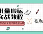 视频号批量搬运实战操作运营赚钱教程，傻瓜式批量制作高质量内容【附视频教程+PPT】-成可创学网