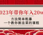韭菜-联盟·2023年带你年入20w+方法简单粗暴,一个教你割韭菜的课程-成可创学网