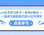厦九九小红书学习年卡（全年IP孵化），沉浸式学习，一起成为有影响力的小红书博主-成可创学网