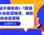 大圣淘宝天猫电商1-7层级盈利增长底层逻辑课，爆款的底层逻辑-成可创学网