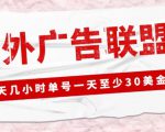 外面收费1980的最新国外LEAD广告联盟搬砖项目，单号一天至少30美金【详细玩法教程】-成可创学网