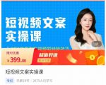 小秋·短视频文案实操课，​从0到1教你做短视频的经验技巧-成可创学网