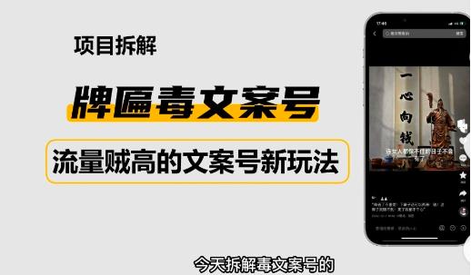 2023抖音快手毒文案新玩法，牌匾文案号，起号快易变现-成可创学网