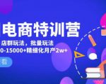 美团电商特训营:美团·店群玩法,无脑铺货月产出6000-15000+精细化月产2w+-成可创学网