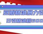 豆瓣精准暴力引流,日引精准粉500+【12课时】-成可创学网