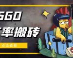 外面9800的CSGO汇率搬砖项目,一个月轻松赚几千【选品软件+详细教程】-成可创学网