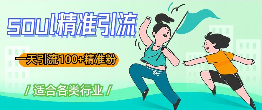 soul精准引流系列课程，一天引流100+精准粉，适合各类行业-成可创学网