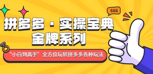 拼多多·实操宝典：金牌系列“小白到高手”带你全方位玩转拼多多各种玩法-成可创学网