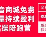 抖音商城搜索持续盈利陪跑成长营,抖音商城搜索从0-1、从1到10的全面解决方案-成可创学网