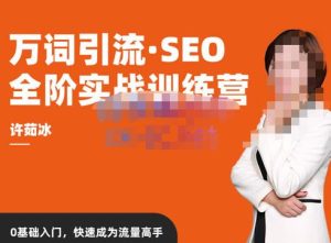 许茹冰·万词引流-SEO全阶实战训练营,0基础入门,快速成为流量高手-成可创学网