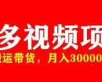 多多带货视频快速50爆款拿带货资格，搬运带货，月入30000【全套脚本+详细玩法】-成可创学网