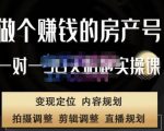 刘广标·同城房产号线上陪跑课,拍摄、剪辑、写文案、直播,做一个具有潜力价值的房产号-成可创学网