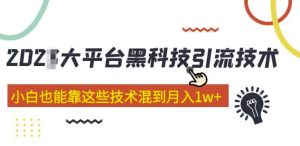 大平台黑科技引流技术,小白也能靠这些技术混到月入1w+(2022年的课程)-成可创学网