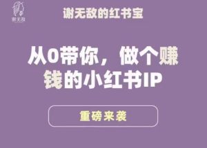 谢无敌·小红书运营大宝典,从0带你做个赚钱的小红书IP-成可创学网