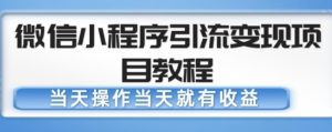 微信小程序引流变现项目教程,当天操作当天就有收益,变现不再是难事-成可创学网