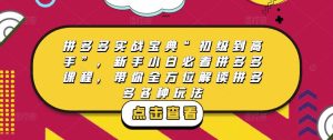 拼多多实战宝典“初级到高手”,新手小白必看拼多多课程,带你全方位解读拼多多各种玩法-成可创学网