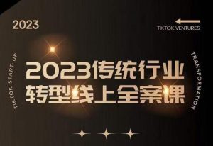 数据哥2023传统行业转型线上全案课,2023年传统行业如何转型线上,线上创业/传统转型避坑宝典-成可创学网