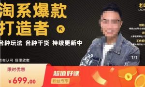 锋投老叶全店动销,淘系干货汇总,各种玩法,淘系爆款打造者-成可创学网