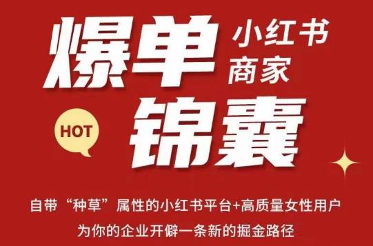 无畏·小红书商家爆单锦囊，掌握小红书各大规则，快速精准抢占行业和市场-成可创学网