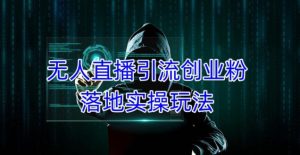 外面收费3980的无人直播引流创业粉落地实操玩法，单日引100+精准创业粉-成可创学网