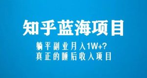知乎蓝海玩法，躺平副业月入1W+，真正的睡后收入项目（6节视频课）-成可创学网