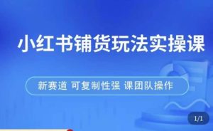 小红书铺货玩法实操课，流量大，竞争小，非常好做，新赛道，可复制性强，可团队操作-成可创学网