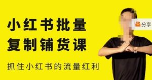 张宾·小红书批量复制铺货课,小红书0-1快速起号变现玩法,抓住小红书的流量红利(更新2023年3月)-成可创学网