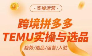 跨境拼多多TEMU实操与选品,掌握平台运营方法技巧,选品避坑12条标准,爆款的底层思路等-成可创学网
