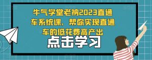 牛气学堂老衲2023直通车系统课,帮你实现直通车的低花费高产出-成可创学网