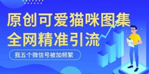 黑科技纯原创可爱猫咪图片,全网精准引流,实操5个VX号被加频繁-成可创学网