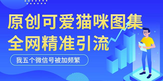 黑科技纯原创可爱猫咪图片，全网精准引流，实操5个VX号被加频繁-成可创学网
