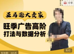 阿甘·亚马逊大卖家广告高阶打法与数据分析,走出传统广告误区;揭秘大卖惯用打法;数据驱动广告决策-成可创学网