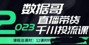 数据哥2023直播电商巨量千川付费投流实操课,快速掌握直播带货运营投放策略-成可创学网