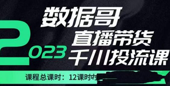 数据哥2023直播电商巨量千川付费投流实操课，快速掌握直播带货运营投放策略-成可创学网