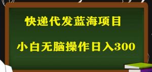 2023最新蓝海快递代发项目,小白零成本照抄也能日入300+-成可创学网