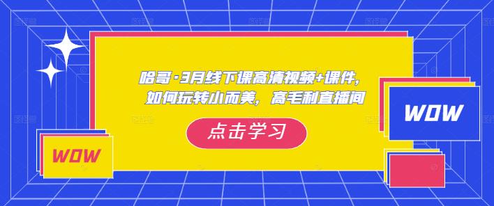 哈哥·3月线下实操课高清视频+课件，如何玩转小而美，高毛利直播间-成可创学网