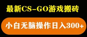 最新csgo游戏搬砖游戏,无需挂机小白无脑也能日入300+-成可创学网