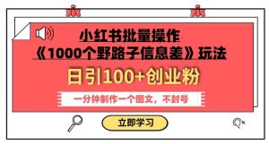 小红书批量操作《1000个野路子信息差》玩法，一分钟制作一个图文，不封号，日引100+创业粉-成可创学网
