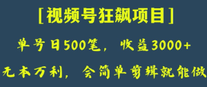 日收款500笔，纯利润3000+，视频号狂飙项目，会简单剪辑就能做【揭秘】-成可创学网