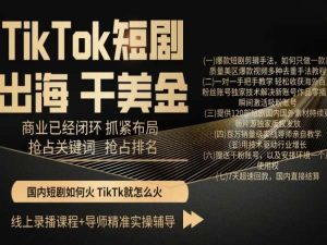 TikTok短剧出海干美金，商业已经闭环抓紧布局，抢占关键词抢占排名-成可创学网