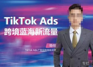 稳哥·如何投出高ROI的TikTok广告，开拓独立站卖家流量新蓝海-成可创学网