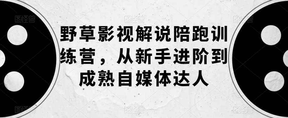 野草影视解说陪跑训练营，从新手进阶到成熟自媒体达人-成可创学网