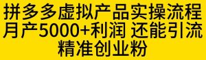 拼多多虚拟产品实操流程,月产5000+利润,还能引流精准创业粉【揭秘】-成可创学网