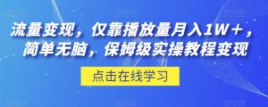 流量变现,仅靠播放量月入1W+,简单无脑,保姆级实操教程【揭秘】-成可创学网