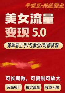 TK美女短视频变现项目无限复制（升级版），全网最高性价比项目【揭秘】-成可创学网