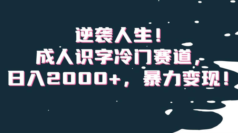 逆袭人生！成人识字冷门赛道，日入2000+，暴力变现！【揭秘】-成可创学网