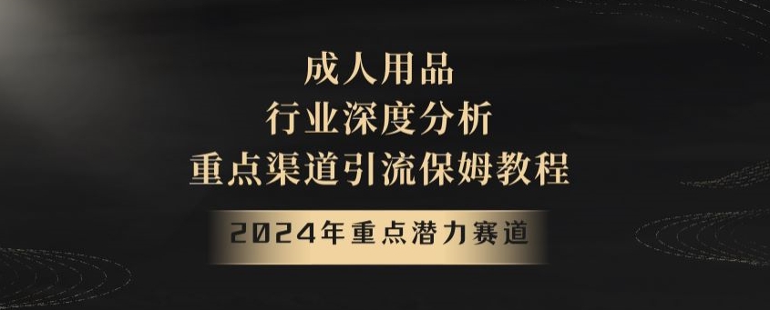 2024年重点潜力赛道，成人用品行业深度分析，重点渠道引流保姆教程【揭秘】-成可创学网