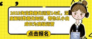2023淘宝数据化运营14式，深度解析数据化知识，帮你从小白成长为高级运营-成可创学网