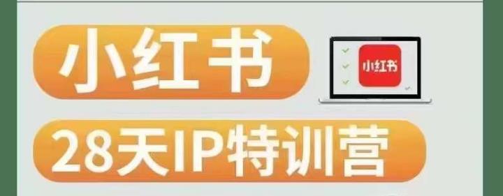 28天小红书博主IP特训营（第3期）实战经验，快速涨粉，迅速变现-成可创学网