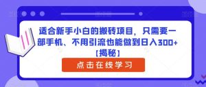 适合新手小白的搬砖项目,只需要一部手机、不用引流也能做到日入300+【揭秘】-成可创学网